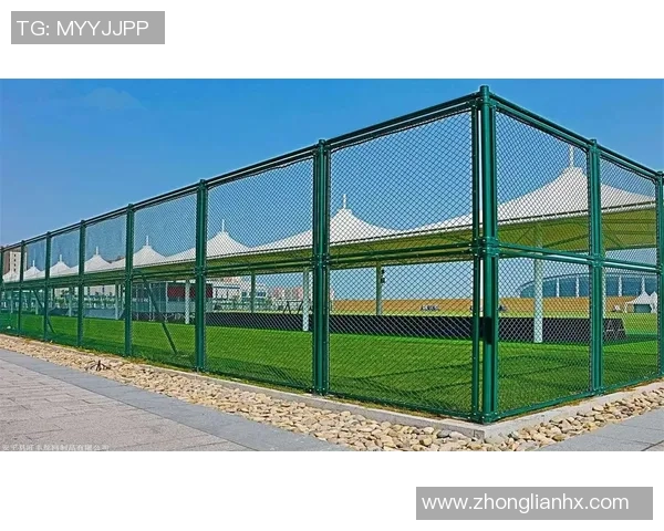 小区篮球场围网设计与建设的重要性及其对社区活动的积极影响分析 小区篮球场围网设计与建设的重要性及其对社区活动的积极影响分析